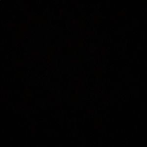 Meet your Posher, Chase